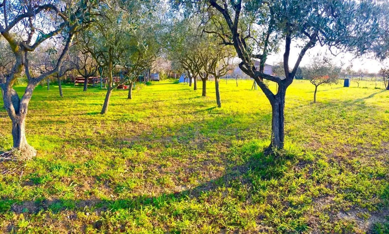O.K. Corral Hotel Misano Adriatico Campsite