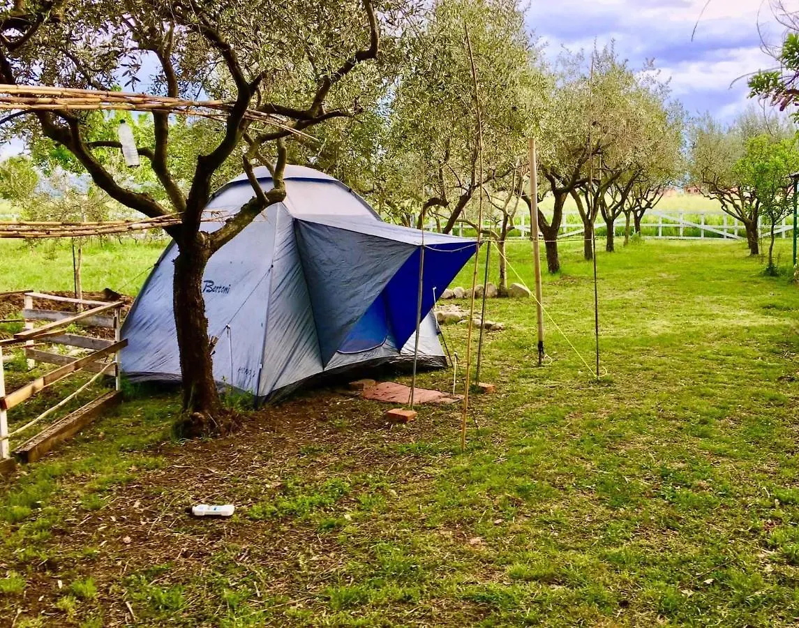 O.K. Corral Hotel Misano Adriatico