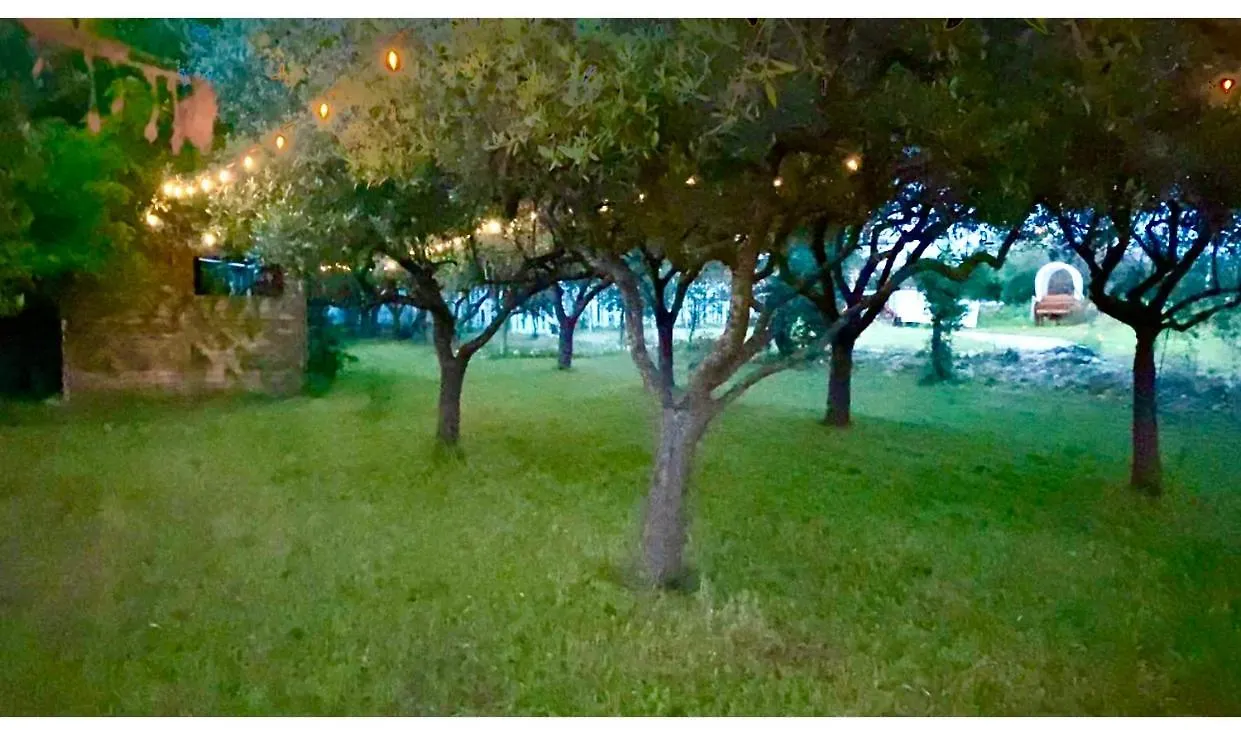 Hotel O.K. Corral Misano Adriatico 0*,